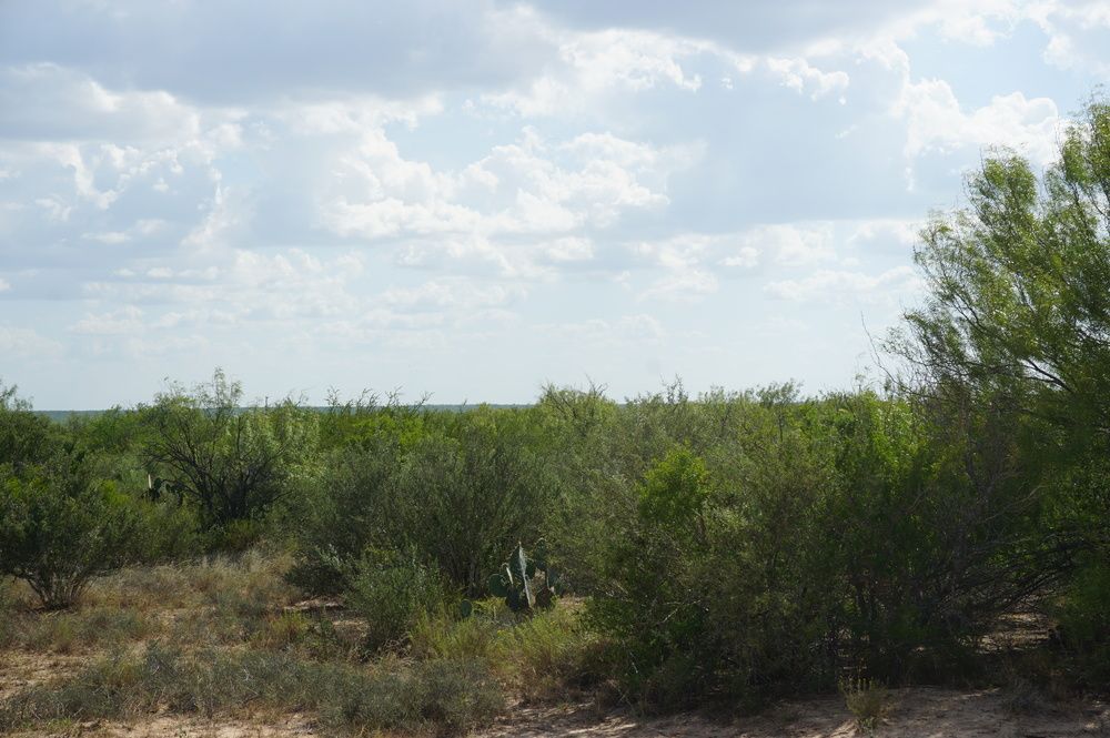 Ranch Land with Minerals: Ranch Rd 7918B, Laredo, TX 78046